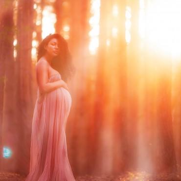 Фотография #513391, фотосъемка беременных, автор: Елена Горячева