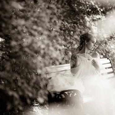 Фотография #507045, свадебная фотосъемка, автор: Александра Бурилина