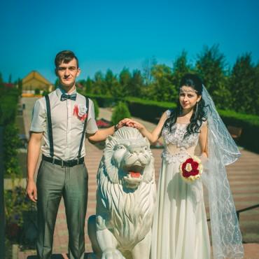 Фотография #505164, свадебная фотосъемка, автор: Дмитрий Адоньев