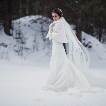Фотография #517109, свадебная фотосъемка, автор: Анна Дмитриенко