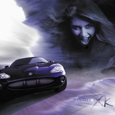 Фотография #529815, , автор: Александр Егоров