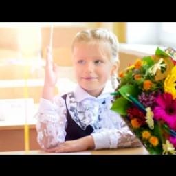 Видео #503179, автор: Алена Старцева