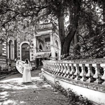 Фотография #521102, свадебная фотосъемка, автор: Ксения Князева