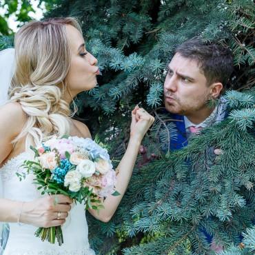 Фотография #524742, свадебная фотосъемка, автор: Геннадий Степанов
