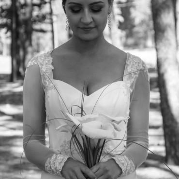 Фотография #525806, свадебная фотосъемка, автор: Макс Шурков