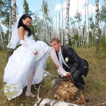 Фотография #525901, свадебная фотосъемка, автор: Андрей Васнецов