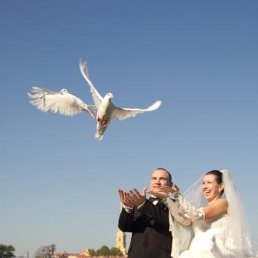 Фотография #446252, свадебная фотосъемка, автор: Светлана Тоцкая