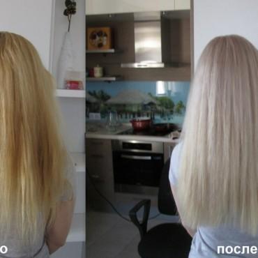 Фотография #446421, , автор: Яна Старовтойва