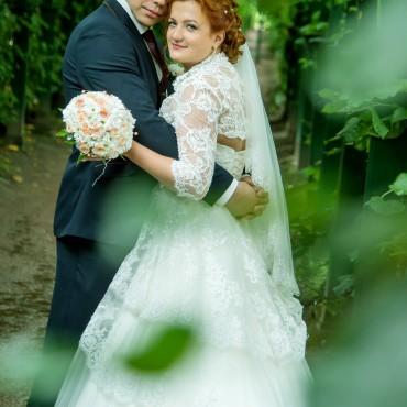 Фотография #446593, свадебная фотосъемка, автор: Евгений Тараньков