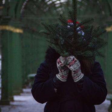 Альбом: Выездная фотосъемка, 13 фотографий