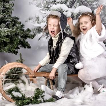 Фотография #452646, студийная фотосъемка, автор: Ольга Васильева