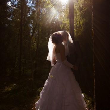 Фотография #453128, свадебная фотосъемка, автор: Елена Култышева
