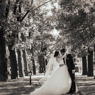 Фотография #455483, свадебная фотосъемка, автор: Елена Глушкина