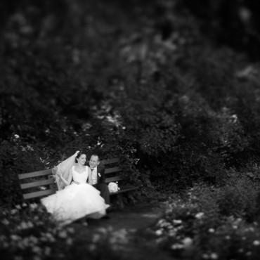 Фотография #455599, свадебная фотосъемка, автор: Петр Карасев