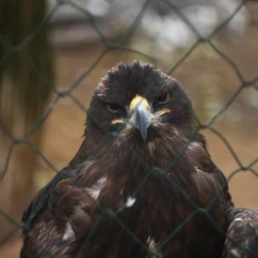 Фотография #462072, , автор: Александра Шеина