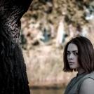 Дарья Ольнева