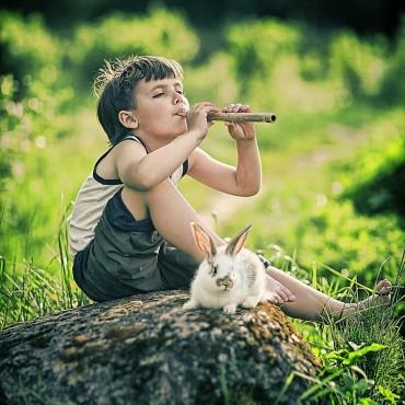 Фотография #458049, выездная фотосъемка, автор: Юрий Ковалевский
