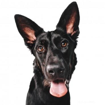 Фотография #462694, , автор: Кира Эванс