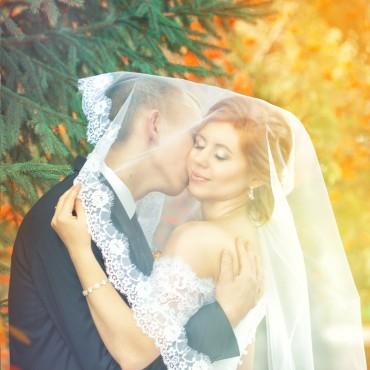Фотография #410304, свадебная фотосъемка, автор: Анастасия Саврицкая