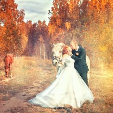 Фотография #410307, свадебная фотосъемка, автор: Анастасия Саврицкая