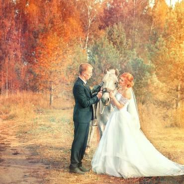 Фотография #410305, свадебная фотосъемка, автор: Анастасия Саврицкая