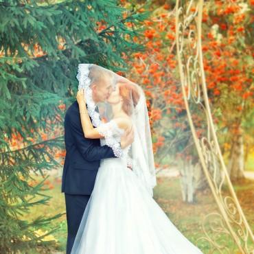 Фотография #410306, свадебная фотосъемка, автор: Анастасия Саврицкая