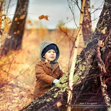 Фотография #410205, детская фотосъемка, автор: Анастасия Саврицкая