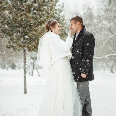 Фотография #412200, свадебная фотосъемка, автор: Татьяна Припорова