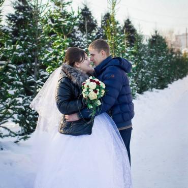Фотография #412820, свадебная фотосъемка, автор: Анастасия Киркина