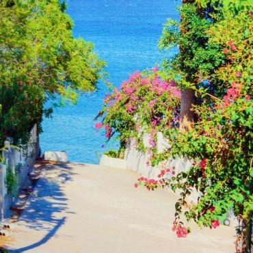 Фотография #413252, , автор: Глянцевый Альбом 