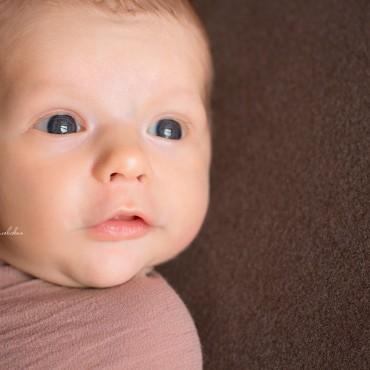 Фотография #415354, детская фотосъемка, автор: Елена Зайцева-Михайловская