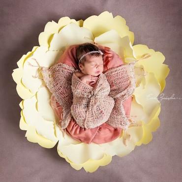 Фотография #415335, детская фотосъемка, автор: Елена Зайцева-Михайловская