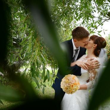 Фотография #415253, свадебная фотосъемка, автор: Екатерина Мельникова