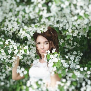 Фотография #417588, свадебная фотосъемка, автор: Сергей Копаев