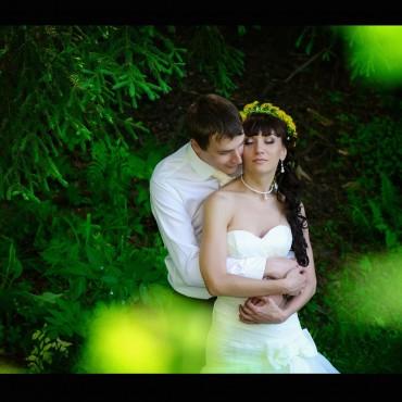 Фотография #419938, свадебная фотосъемка, автор: Николай Позиненко