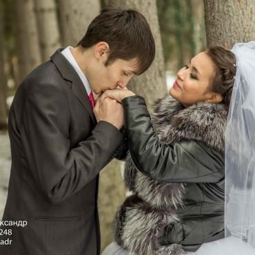 Альбом: Свадебная фотосъемка, 14 фотографий
