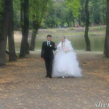 Фотография #72838, свадебная фотосъемка, автор: Анатолий Шемякин