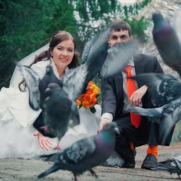 Фотография #73112, , автор: Волков Владислав 