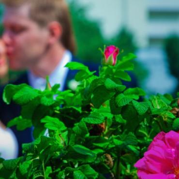 Фотография #73120, , автор: Волков Владислав 