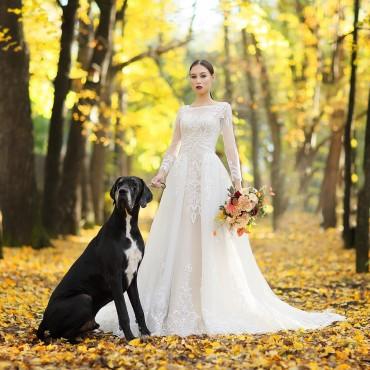 Фотография #94722, свадебная фотосъемка, автор: Екатерина Руднова