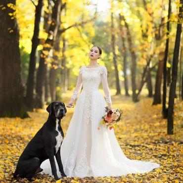 Фотография #94723, свадебная фотосъемка, автор: Екатерина Руднова