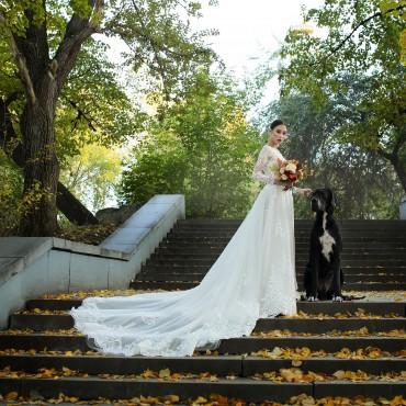 Фотография #94720, свадебная фотосъемка, автор: Екатерина Руднова