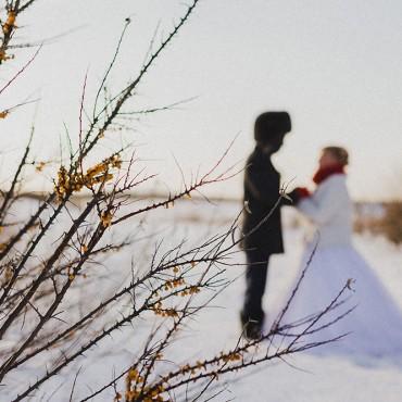 Фотография #82945, свадебная фотосъемка, автор: Василий Лопатин