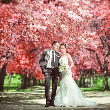 Фотография #85009, свадебная фотосъемка, автор: Иван Батлук