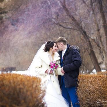 Фотография #97601, свадебная фотосъемка, автор: Елена Луткова