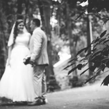Фотография #93736, свадебная фотосъемка, автор: Алена Горбачева