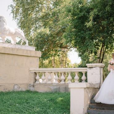 Фотография #87145, свадебная фотосъемка, автор: Анастасия Бажан