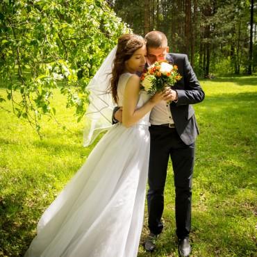 Фотография #102257, свадебная фотосъемка, автор: Светлана Дорохина