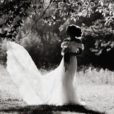 Фотография #101622, свадебная фотосъемка, автор: Владимир Лузин