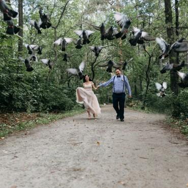 Фотография #104807, свадебная фотосъемка, автор: Илья Корсаков